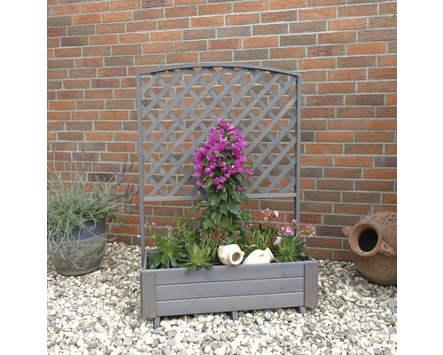 Blumenkasten aus Holz mit Rankgitter und verschiedenen Pflanzen
