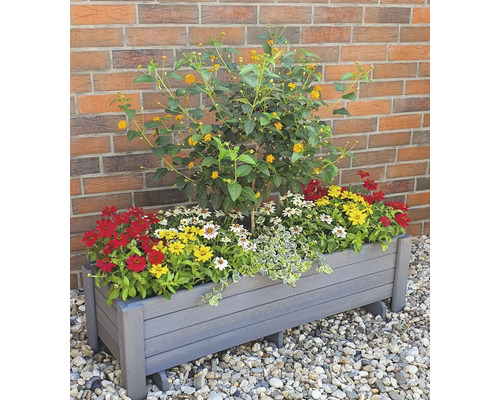 Blumenkasten mit Sommerblumen vor einer Ziegelwand