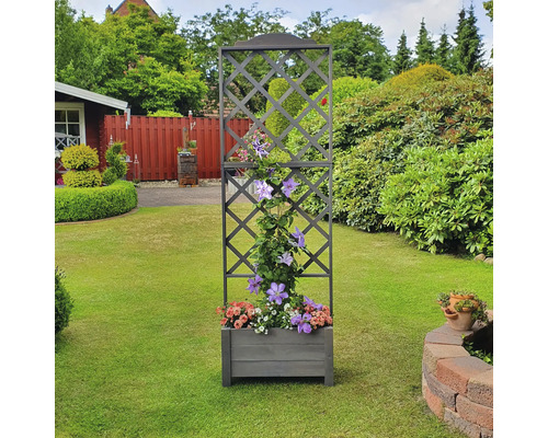 Rankhilfe mit Pflanzkasten im Garten mit Blumen bepflanzt