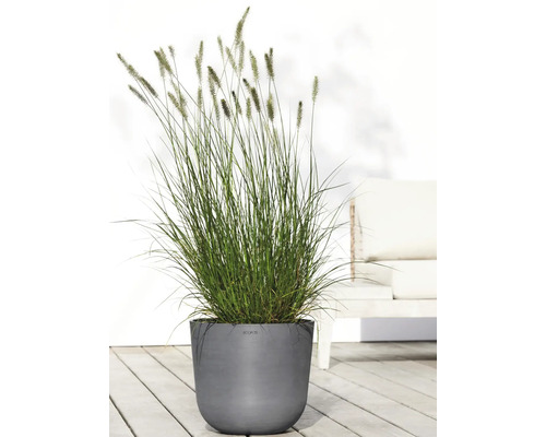 Gartenansicht mit Ziergras im Topf