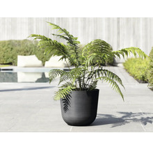 Blumentopf Ecopots Oslo Kunststoff Ø 32,9 cm 35 x 35 x 30,5 cm dunkelgrau