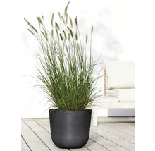 Blumentopf Ecopots Oslo Kunststoff Ø 32,9 cm 35 x 35 x 30,5 cm dunkelgrau