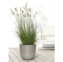 Blumentopf Ecopots Oslo Kunststoff Ø 32,9 cm 35 x 35 x 30,5 cm braun