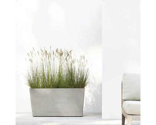 Rechteckiger Pflanzkasten mit Ziergras