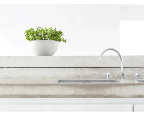 Küchenspüle mit Armatur und Kräutertopf auf einer Arbeitsplatte