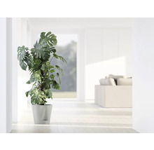 Blumentopf Ecopots Venice Kunststoff Ø 27,7 cm 30 x 30 x 27,5 cm grauweiß