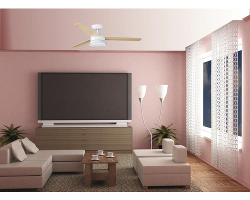 Wohnzimmer mit Deckenventilator, Sofa, Tisch, Fernseher und Fenstern