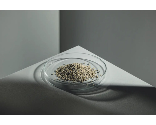 Helle Pellets in einer Glasschale