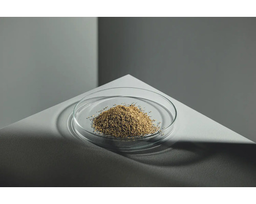 Saatgut in einer Glasschale