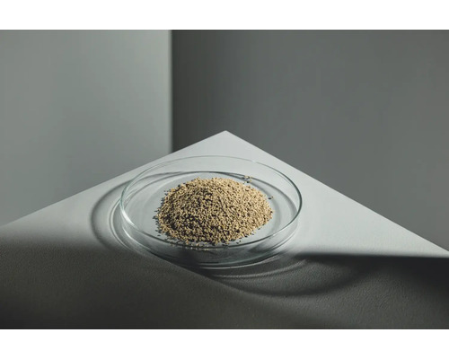 Saatgut in einer Glasschale