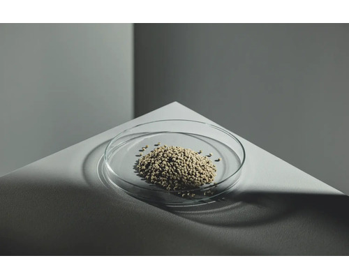 Pellets in Glasschale