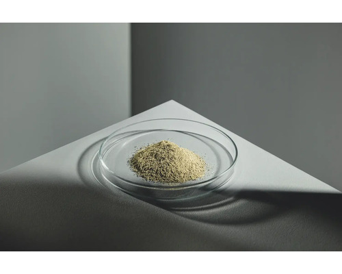 Pulver in Glasschale