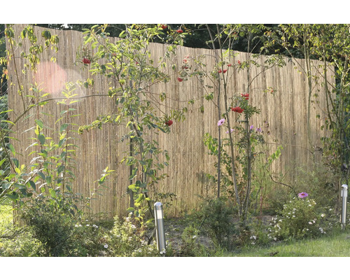 Sichtschutzzaun aus Bambus im Garten
