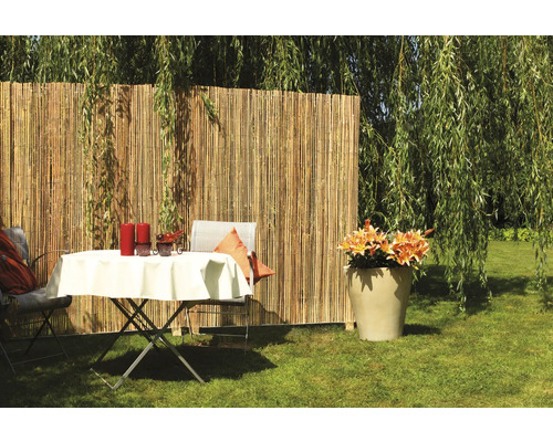 Gartenszene mit Bambuszaun, Tisch, Stühlen und Blumenkübel
