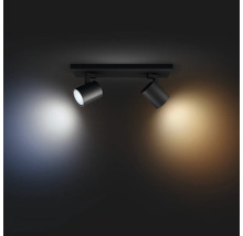 Deckenleuchte mit zwei Strahlern