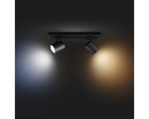 Deckenleuchte mit zwei Strahlern