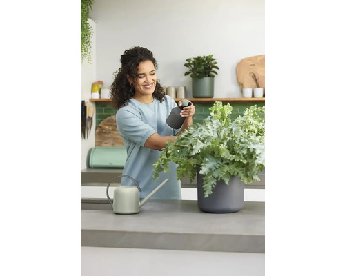 Frau pflegt Pflanze mit Sprühflasche neben Gießkanne auf einer Arbeitsplatte