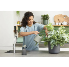 Frau gießt Pflanze in Küche mit Gießkanne