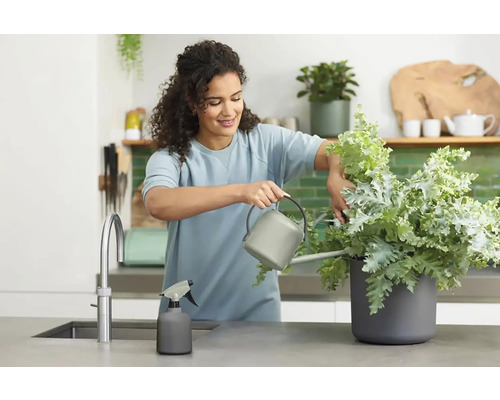 Frau gießt Pflanze in Küche mit Gießkanne