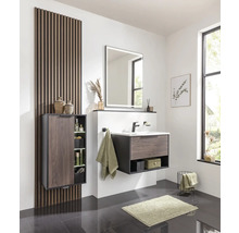 Midischrank FACKELMANN B.Paris BxHxT 470 x 842 mm x 320 mm Frontfarbe rigoletto eiche matt 77421