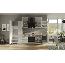 Moderne Küche mit weißen Schränken, Spüle, Herd, Kühlschrank und Geschirrspüler