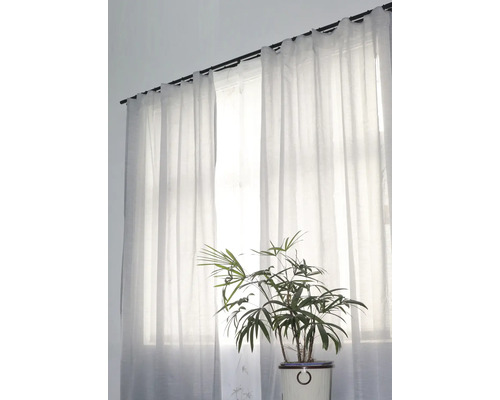 Fenster mit transparenten Gardinen und Zimmerpflanze