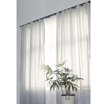 Fenster mit transparenten Vorhängen und Zimmerpflanze