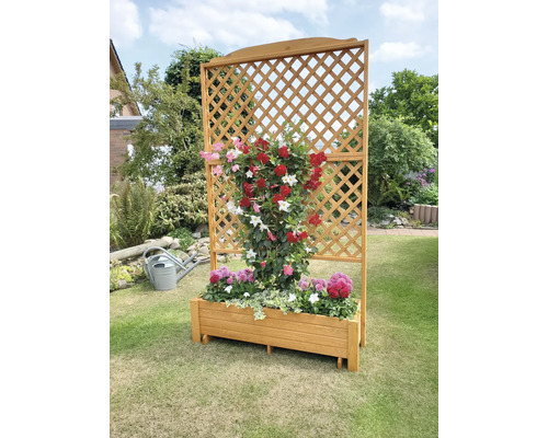 Holzpflanzkasten mit Rankgitter im Garten mit blühenden Pflanzen