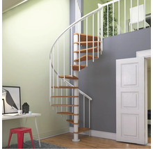 Raumszene mit Wendeltreppe aus Metall und Holz.