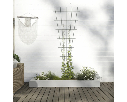 Szene mit Pflanzenkasten, Kletterhilfe und Dekoration an einer weissen Wand
