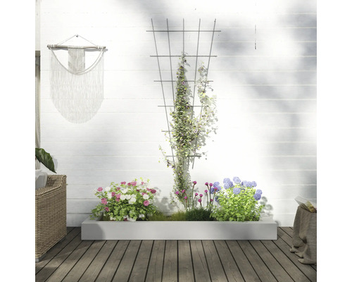 Szene mit Pflanzkasten, Kletterhilfe und Pflanzen vor einer weissen Wand