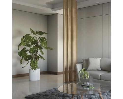 Wohnzimmer mit Zimmerpflanze, Couch, Couchtisch und Raumteiler