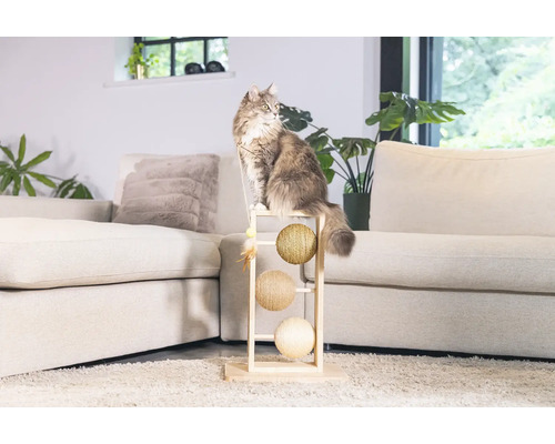 Katze sitzt auf einem Kratzbaum mit drei Spielbällen im Wohnzimmer