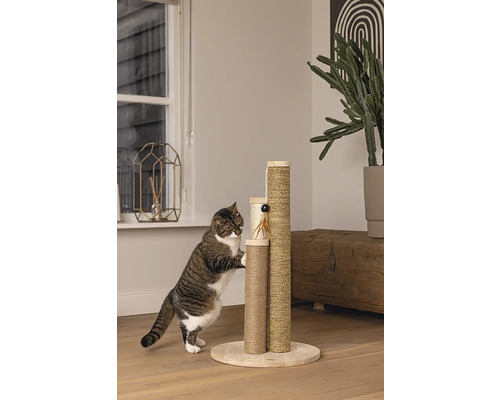 Katze kratzt an einem mehrstufigen Kratzbaum mit Sisalummantelung.