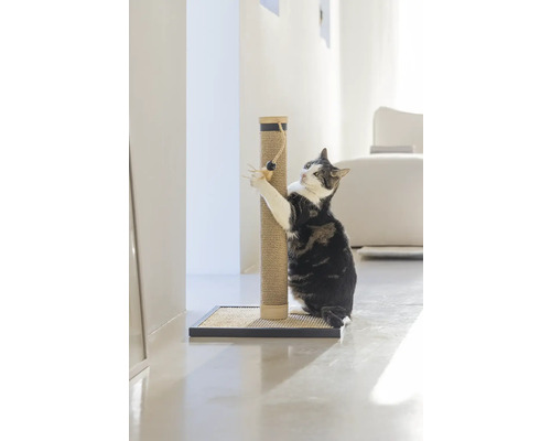 Katze kratzt an einem Kratzbaum im Wohnzimmer.