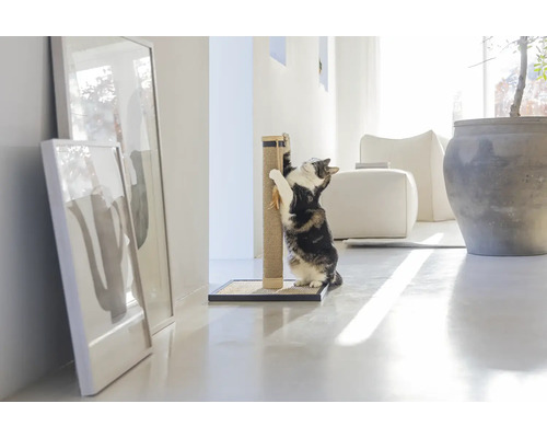 Katze kratzt an einem Kratzbaum im hellen Wohnzimmer.