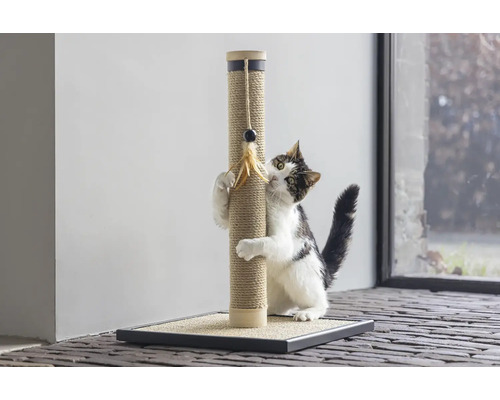 Katze kratzt an einem Kratzbaum mit Spielzeug
