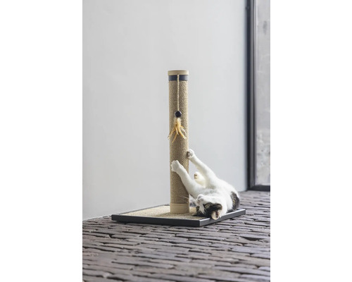 Katze kratzt an einem Kratzbaum mit Sisalstamm und Spielzeug