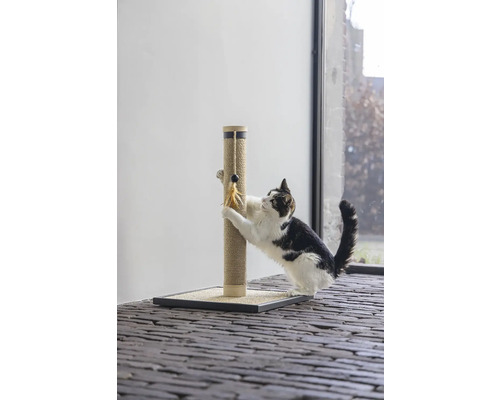 Katze kratzt an einem Kratzbaum mit Spielzeug