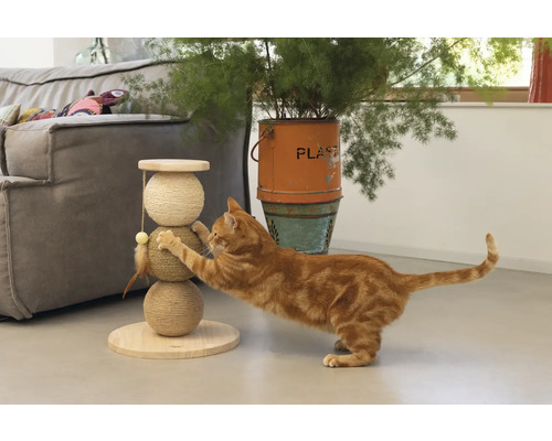 Katze kratzt an einem Kratzbaum mit drei Sisalbällen.