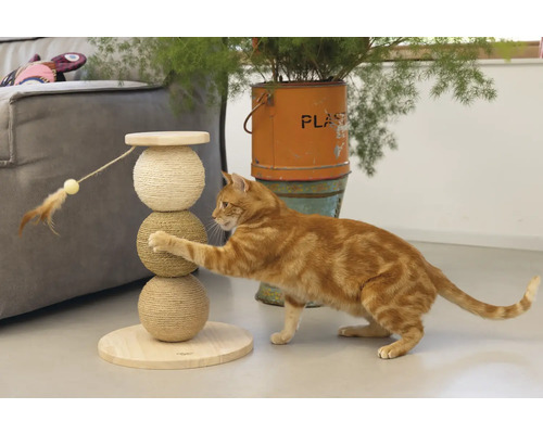 Katze spielt mit Kratzbaum aus Holz und Sisal