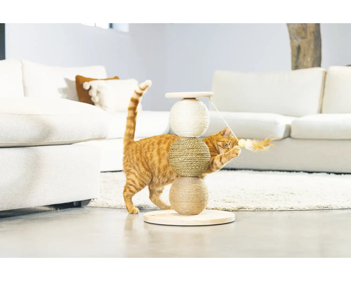 Katze spielt mit einem Kratzbaum aus Sisal und Holz in einem hellen Raum