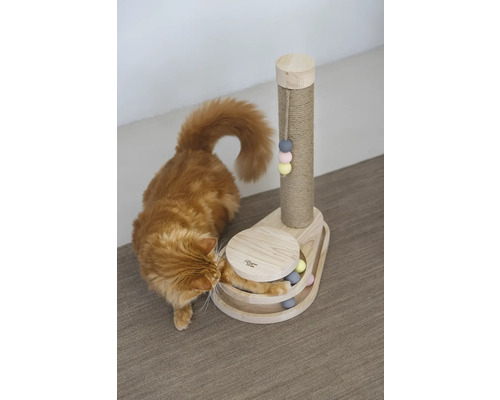Katze spielt mit einem Kratzbaum und Ballspielzeug aus Holz.