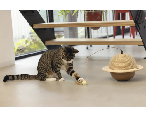 Getigerte Katze spielt mit Katzenspielzeug auf dem Boden