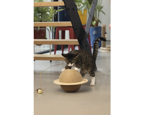 Eine getigerte Katze spielt mit einem Kratzbaum in Form eines Planeten mit einer Spielzeugmaus.