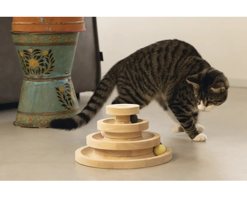 Getigerte Katze spielt mit einem interaktiven Holzspielzeug mit mehreren Ebenen