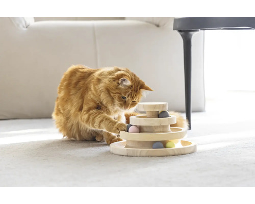 Katze spielt mit einem hölzernen Katzenspielzeug mit mehreren Ebenen