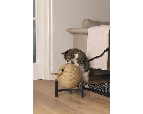 Katze kratzt an einem Kratzball auf einem Ständer im Innenraum.