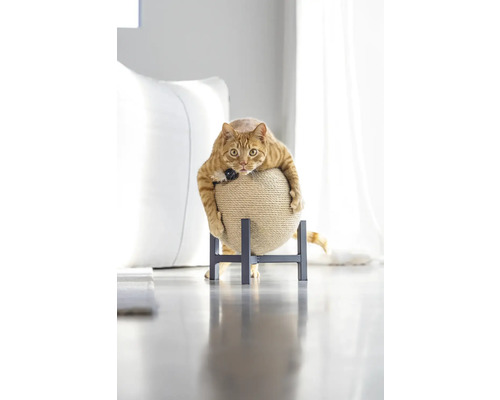 Katze ruht auf einem Katzenkratzball mit Ständer