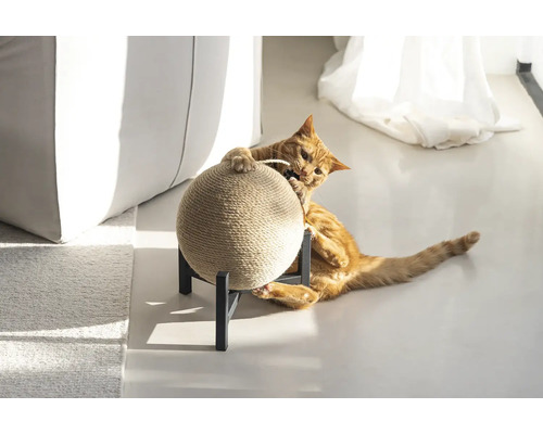 Katze spielt mit einem Kratzball auf einem Ständer.